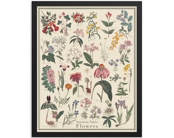 American Native Flowers 16 x 20 Framed Flower Identification Poster, Floral vintage style artwork from Curtis' Botanical Magazine