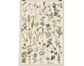 Fleur Antique-Style Botanical Chart Poster, Blue and Violet Flowers by Sowerby, Unframed 24"x36" botany printTaxonomy Science Art