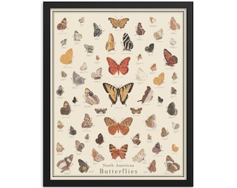 North American Butterflies Framed 16 x 20 Identification Poster, Vintage style Butterfly art, black frame