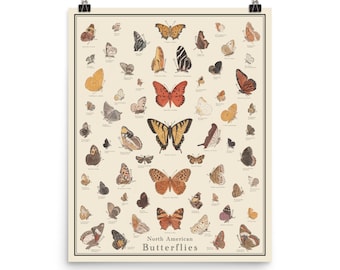 North American Butterflies Antique-Style Poster, Butterfly Identification Chart, Unframed 16"x20" printTaxonomy Science Art