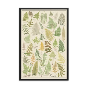 Framed Ferns Antique-Style Botanical Chart Poster, Green Plants by Lowe, Framed 24"x36" botany flower print