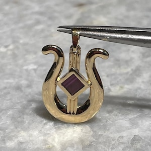 Nano-bijbelketting, 14 kt goud, joods cadeau, religieus cadeau, bar mitswa, verjaardagscadeaus, kettingen voor vrouwen, harp van David, cadeau voor hem