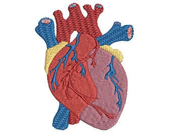 Anatomical Heart