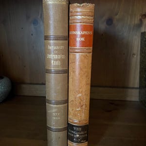 Set of 2 Vintage Books Swedish German Library Decor