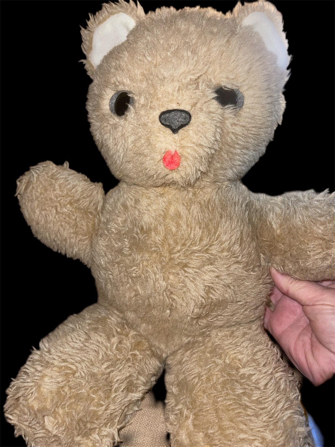 String Teddy Vintage Musical Teddy Bear Pull String Works Mid Century Plush Stuffed ...