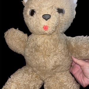 May include: A vintage teddy bear with tan fur, black eyes, a gray nose, and a red mouth. The bear has white accents on its ears and is made of a soft, plush material. The bear's arms are outstretched, and it appears to be in good condition.