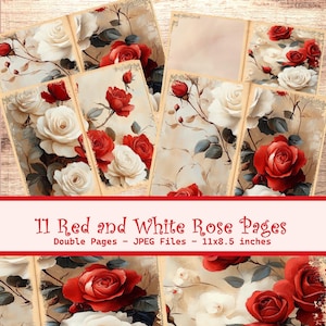 Può includere: Fogli di collage digitali con rose rosse e bianche su carta invecchiata. L'immagine mostra undici pagine doppie con illustrazioni floreali. Ogni pagina misura 27,9 x 21,6 cm. Il testo in basso recita "11 Red and White Rose Pages".