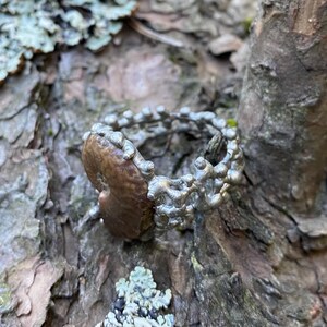 Pu&ograve; includere: Un anello unico con una pietra centrale marrone di forma organica e una fascia argentata e strutturata. L'anello &egrave; ambientato su uno sfondo di corteccia d'albero e licheni, creando un'estetica naturale. Il design dell'anello suggerisce un tema ispirato alla natura.