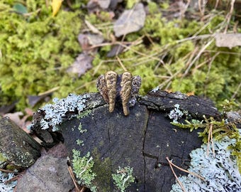 Organic brass ring with real tooth cast and lichen / sand cast jewelry / handmade jewelry