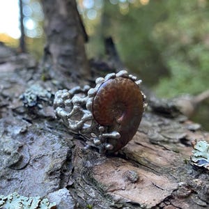 Pu&ograve; includere: Anello color argento con una grande pietra marrone a forma di spirale. L'anello ha un design traforato con un aspetto strutturato e organico. L'anello &egrave; posto su uno sfondo di legno naturale.