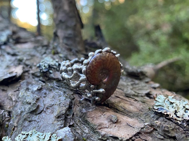 Pu&ograve; includere: Anello color argento con una grande pietra marrone a forma di spirale. L'anello ha un design traforato con un aspetto strutturato e organico. L'anello &egrave; posto su uno sfondo di legno naturale.