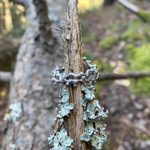 Pu&ograve; includere: Un anello color argento con un design strutturato e organico. L'anello &egrave; esposto su un ramo di legno stagionato con licheni. Lo sfondo &egrave; sfocato, mostrando un ambiente naturale all'aperto con alberi e fogliame.