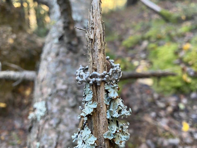 Pu&ograve; includere: Un anello color argento con un design strutturato e organico. L'anello &egrave; esposto su un ramo di legno stagionato con licheni. Lo sfondo &egrave; sfocato, mostrando un ambiente naturale all'aperto con alberi e fogliame.