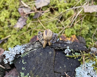 Anello in ottone organico con vero dente calco e lichene / gioielli fusi in sabbia / gioielli fatti a mano
