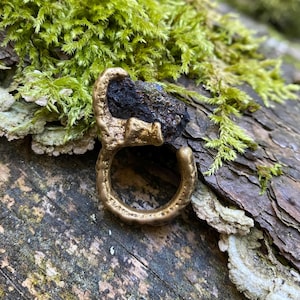 Puede incluir: Un anillo de color bronce con una piedra oscura y texturizada en el centro. El anillo está sobre un trozo de madera cubierto de musgo verde y líquenes. El diseño del anillo es orgánico e inspirado en la naturaleza.