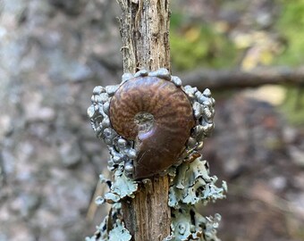 Trilobite fossil ring in tin / soft soldered sculptural jewelry / handmade jewelry / handmade statement piece