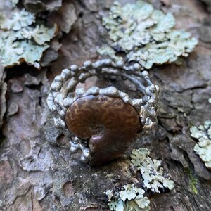 Pu&ograve; includere: Anello color argento con un centro di ammonite fossilizzata marrone. L'anello ha un design organico strutturato ed &egrave; ambientato su uno sfondo di corteccia d'albero e licheni. Un gioiello unico.
