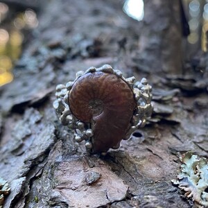Pu&ograve; includere: Un anello d'argento con un fossile di ammonite marrone. L'anello ha un design strutturato e organico attorno al fossile, su uno sfondo di legno naturale. Il motivo a spirale del fossile &egrave; chiaramente visibile.