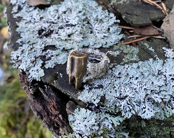 Organic brass ring with real tooth cast and lichen / sand cast jewelry / handmade jewelry
