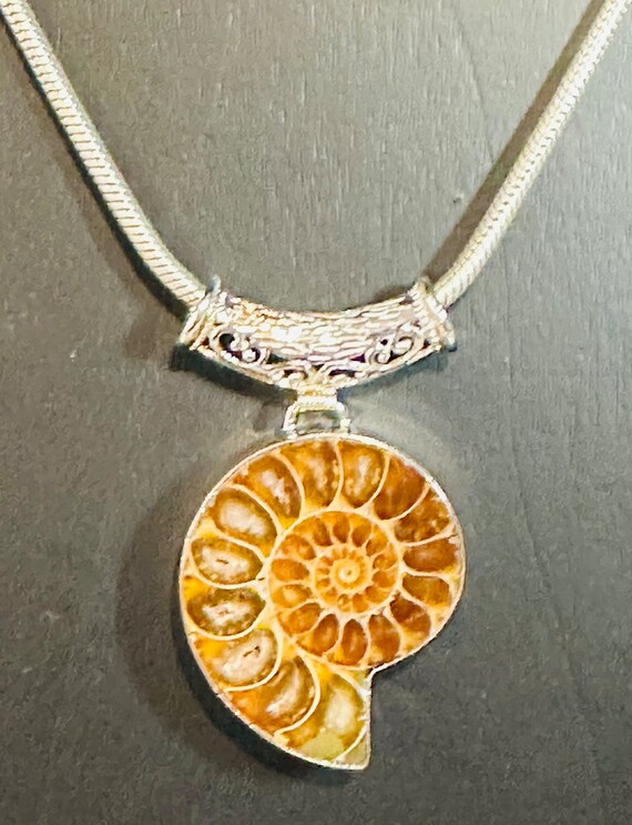 Ammonite polished fossil pendant in sterling silv… - image 3
