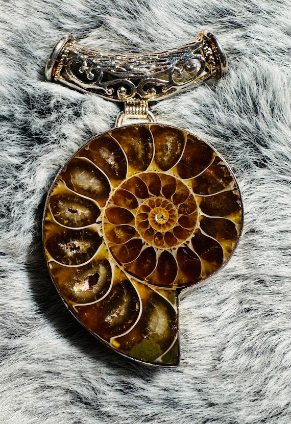 Ammonite polished fossil pendant in sterling silv… - image 1