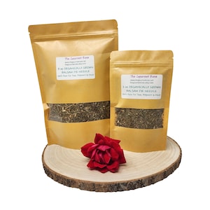 8 Unzen BIO BALSAM Tanne Nadel-Tee Getrockneter Schnitt Natürlicher Raumduft Potpourri Maine Baum Wald Botanische Umweltfreundliche Kraftpapier-Tasche 2 Unze 4 Unze