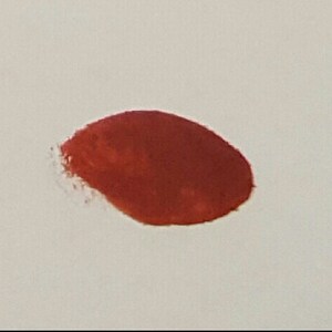 May include: A close-up shot of a red, oval-shaped paint smear on a white background. The paint has a slightly textured appearance and a small, irregular edge.
