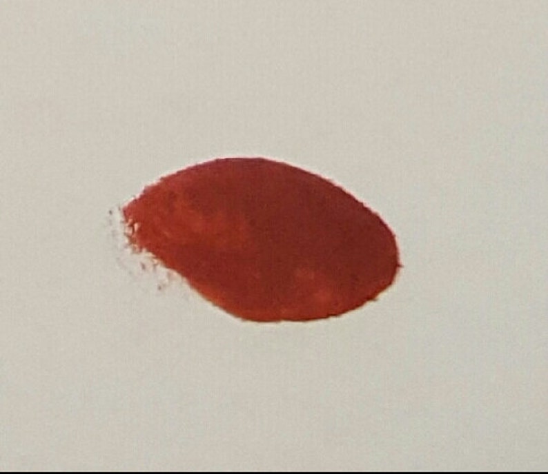May include: A close-up shot of a red, oval-shaped paint smear on a white background. The paint has a slightly textured appearance and a small, irregular edge.