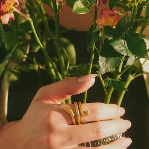 May include: A gold-toned metal ring shaped like a coiled snake worn on a finger. The ring features a textured, scale-like surface and is positioned among a bouquet of pink, orange, and yellow roses held in a clear, textured glass vase.