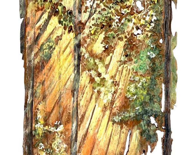 Morning Light (small)