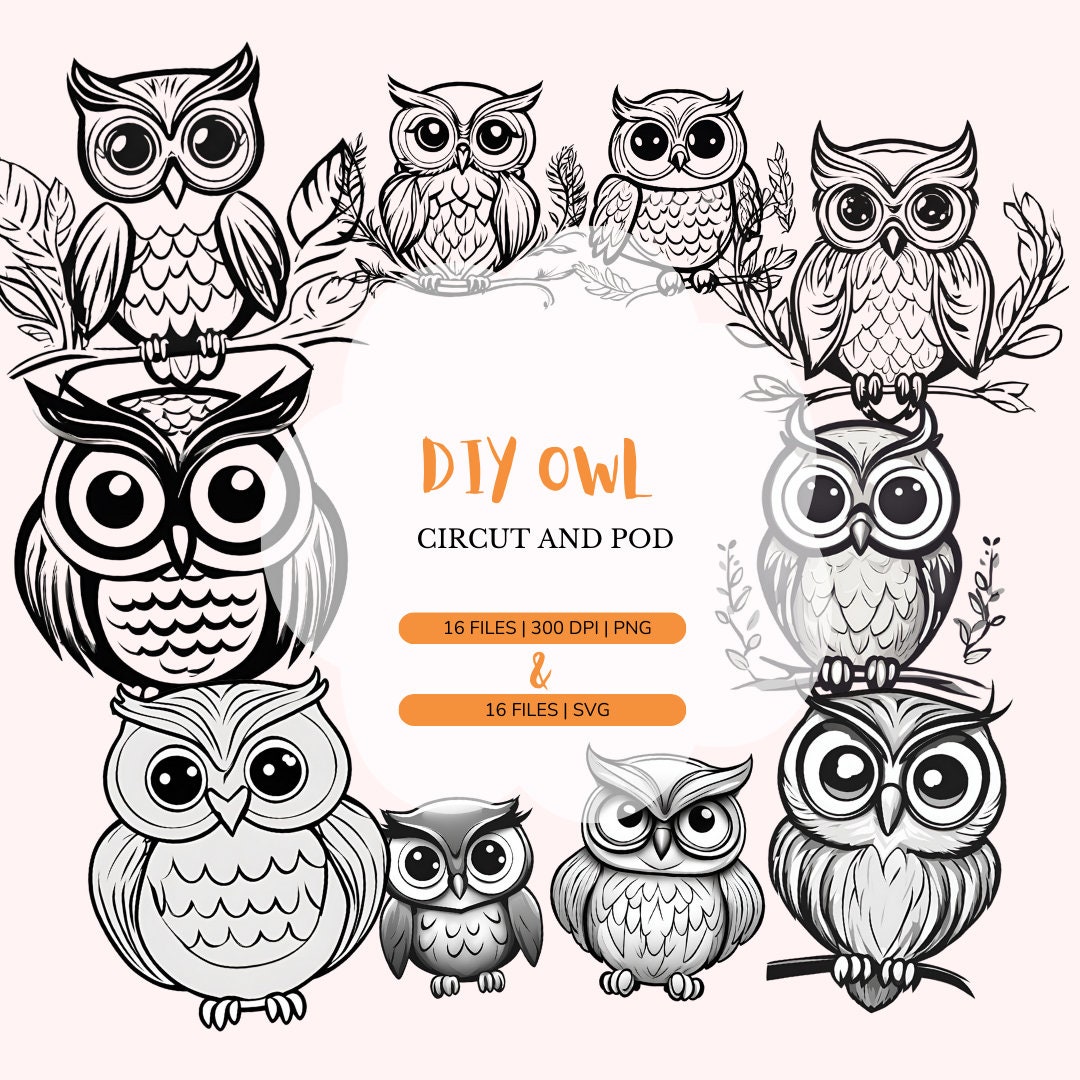 Cute DIY Owls Svg Png Clipart | Woodland Animal | Woodland Animal | Owl for Cricut and POD | Bird Sv