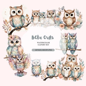 Boho Cute Owl PNG | Baby Animal Clip Art png | Zestaw akwarelowych clipartów | Słodki ptak clipart | Elementy wystroju pokoju dziecięcego |