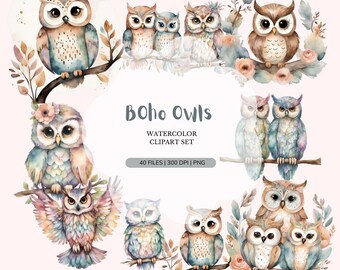 Boho Owl Clipart Bundle | Watercolor Baby Animals (Digital Download)
