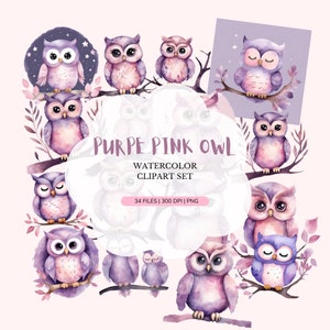 Rosa lila niedliche Eule PNG | Baby Clip Art png | Aquarell Eulen Clipart Bundle | Süsser Vogel Clipart | Kinderzimmer Dekor Elemente |