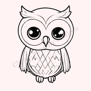 Adorable DIY Owl SVG png Clipart | Woodland Animal | Perfect for Cricut and POD | Bird svg png | Silhouette | Instant Download