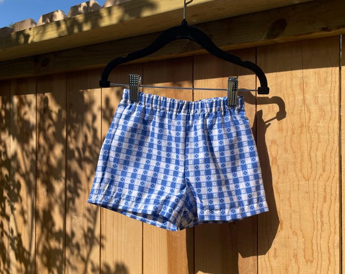 Toddler Shorts - Blue Pic Nic