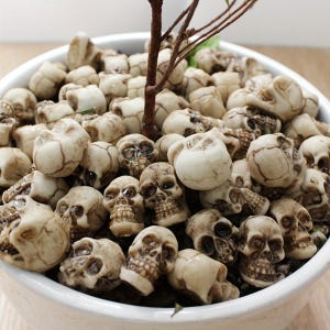 May include: A white ceramic bowl filled with small, off-white skull figurines. The skulls have detailed features and are arranged around a small, brown tree branch. The overall aesthetic is a macabre, yet decorative, arrangement.