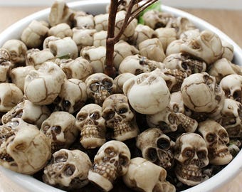 May include: A white ceramic bowl filled with small, off-white skull figurines. The skulls have detailed features and are arranged around a small, brown tree branch. The overall aesthetic is a macabre, yet decorative, arrangement.