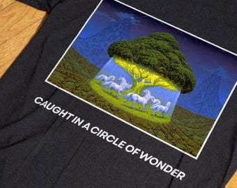 Caught in a Circle of Wonder, horse carousel shirt, wild horses shirt, cottagecore horses shirt, bookish gifts, book lover girl shirt