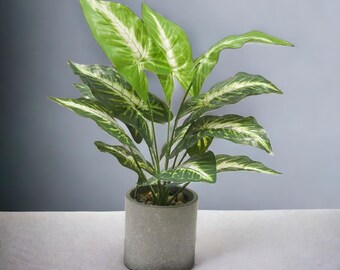 16" Small Artificial Plants for Home Office Decor – Realistic Faux Potted Plant for Desk, Shelf, Bathroom, Living Room, Indoor Greenery