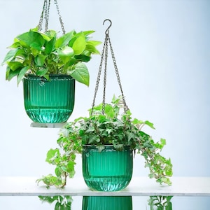 May include: Two hanging planters with green plants and metal chains. The planters are made of green glass with a ribbed texture.