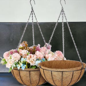 May include: Two brown hanging plant baskets with metal chains. The baskets are made of coconut fiber and have a wire frame. One basket is filled with pink and blue flowers.