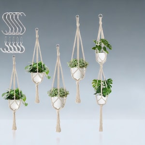 May include: Five macrame plant hangers with white rope and wooden beads. Each hanger has a potted plant with green leaves.