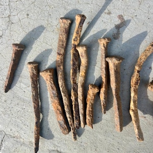 May include: A collection of ten weathered, rusted iron nails with square shanks and flat, irregular heads. The metal surfaces show significant oxidation with deep orange and brown textures, indicating age and exposure to the elements over time.