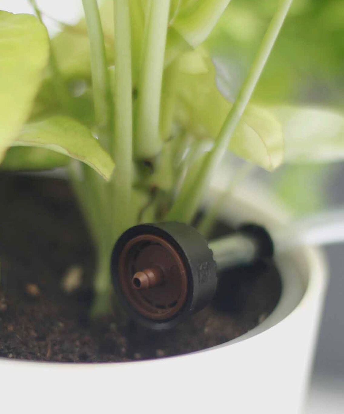 Sistema Di Irrigazione Automatico Ulisem Per Piante In Vaso, Kit Di Irrigazione A Goccia Con Timer Digitale Programmabile Per 30 Giorni 8 Piante 89468290