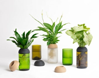 Pot Transparent CitySens avec plante