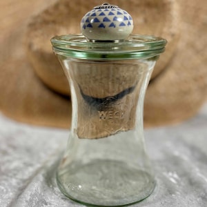 Puede incluir: Un tarro de cristal transparente con tapa decorativa. La tapa tiene un pomo de cerámica blanca con un patrón geométrico azul. El tarro tiene un tapón de corcho y la palabra "WECK" es visible.