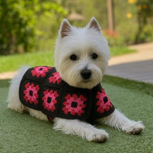 Crochet Dog Jacket Pattern PDF – Easy Dog Sweater Tutorial – Beginner Pet Clothing – DIY Winter Dog Coat Digital Download