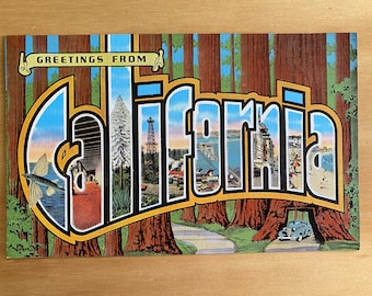 1940s Greetings From California Vintage Postcard - New Old Stock