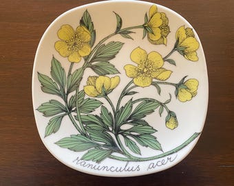 May include: A white ceramic plate with a floral design of yellow buttercups and green leaves. The plate is decorated with the botanical name "Ranunculus acer" in cursive. The design is a detailed floral pattern, suitable for serving food or as a decorative item.